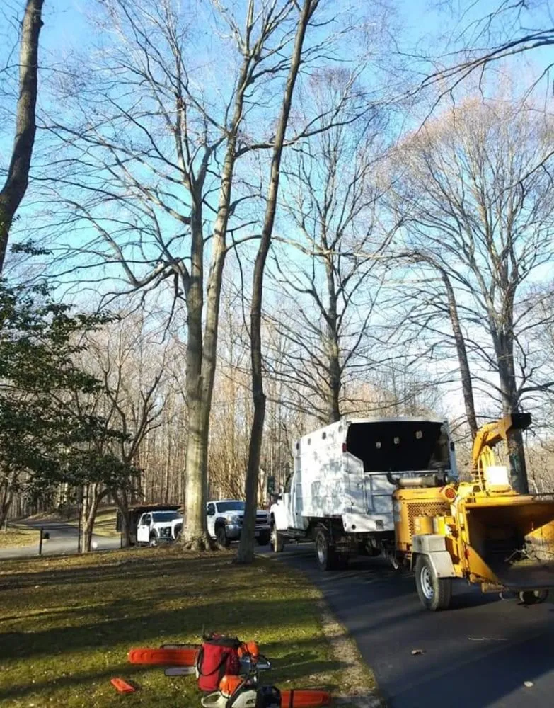 Trusted residential landscaping experts serving Culpeper, VA - Aguilar Tree and Landscaping Service