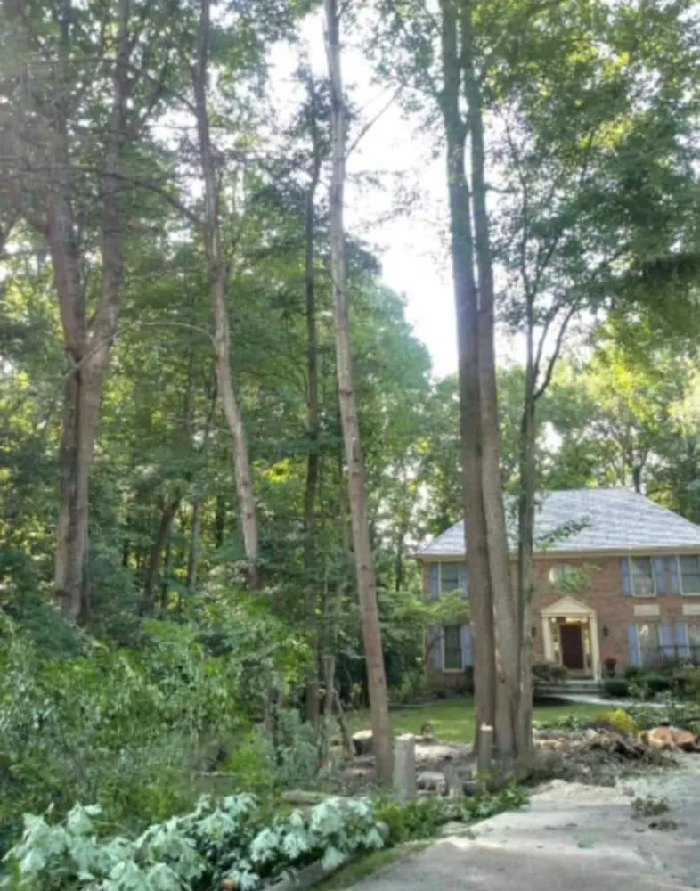 Local residential landscaping experts serving Culpeper, VA - Aguilar Tree and Landscaping Service