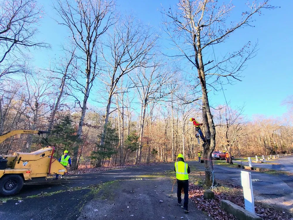 Top-rated landscaping services experts serving Culpeper, VA - Aguilar Tree and Landscaping Service