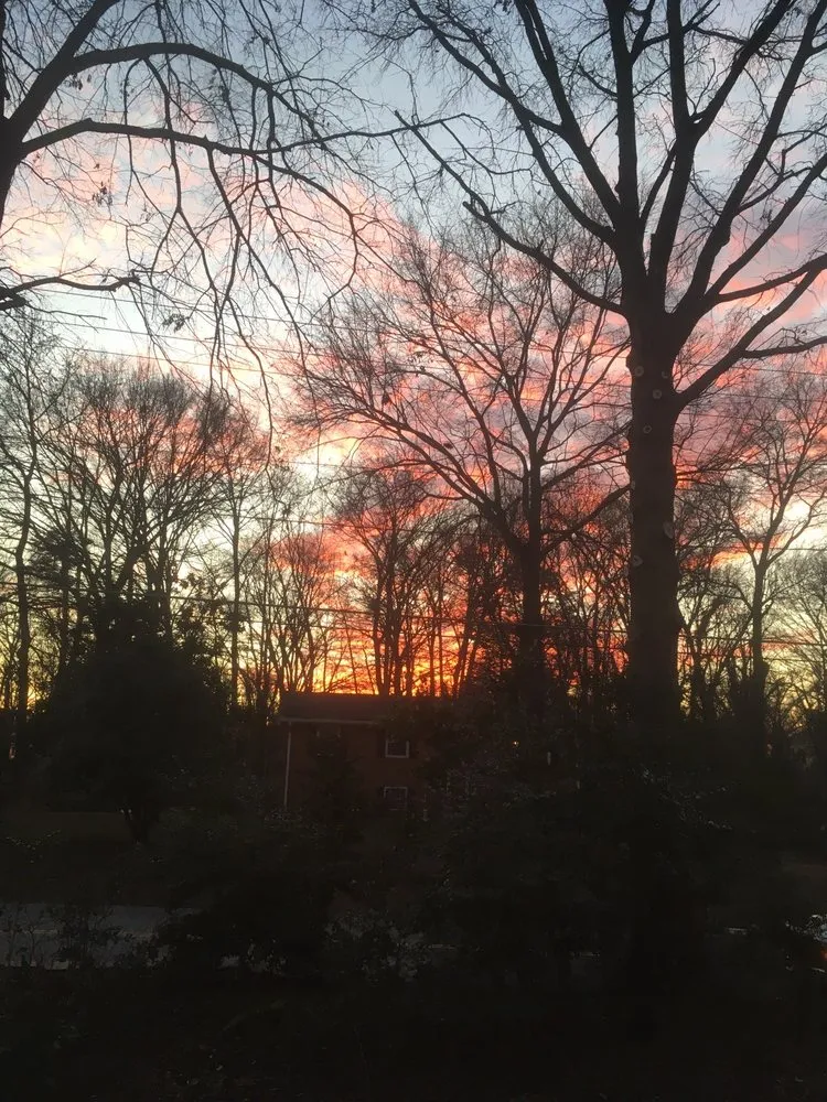 Trusted yard maintenance in Culpeper, VA by Aguilar Tree and Landscaping Service