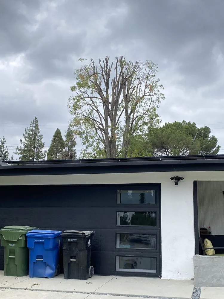 Trusted garden landscaping in Altadena, CA by Aguilar Tree Service & Landscaping