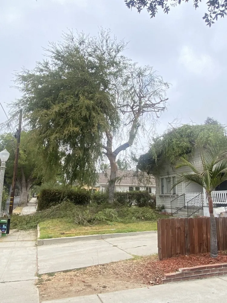 Affordable residential landscaping for residential properties across Altadena, CA - Aguilar Tree Service & Landscaping