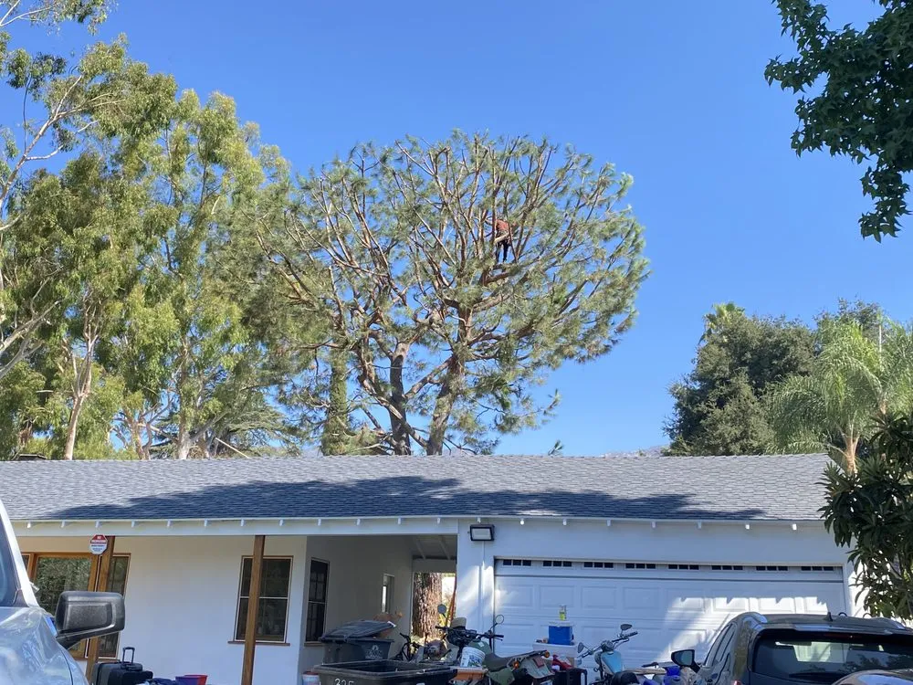 Trusted garden landscaping for outdoor upgrades in Altadena, CA by Aguilar Tree Service & Landscaping