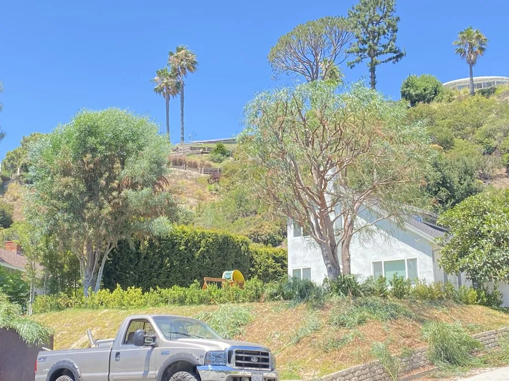 Custom yard cleanup service for year-round maintenance in Altadena, CA by Aguilar Tree Service & Landscaping