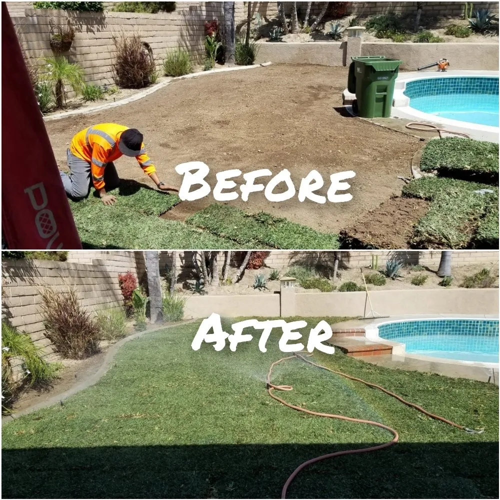 Expert landscaping services in Anaheim, CA - Aguilar Tree Service