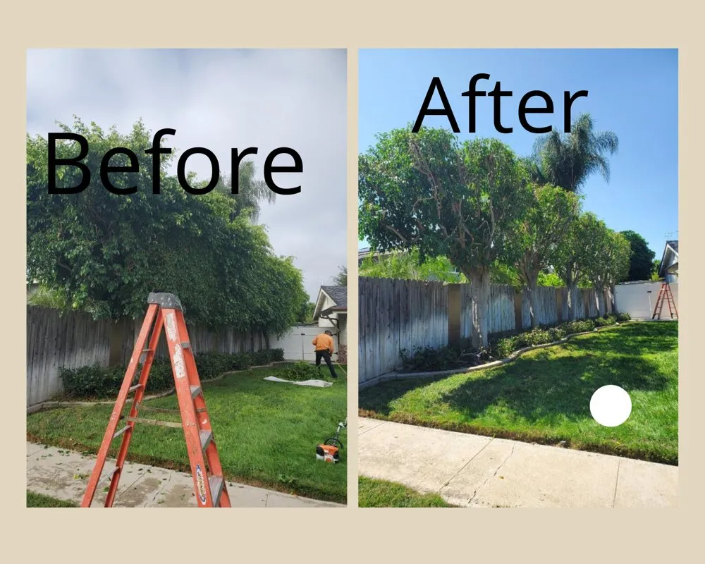 Expert landscaping services in Anaheim, CA by Aguilar Tree Service