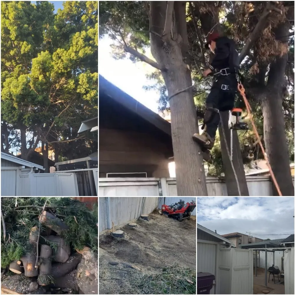 Reliable lawn mowing service near you across Anaheim, CA - Aguilar Tree Service