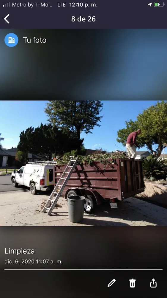 Trusted landscape design with custom design across Altadena, CA - Aguilar Tree Service and Landcape Design