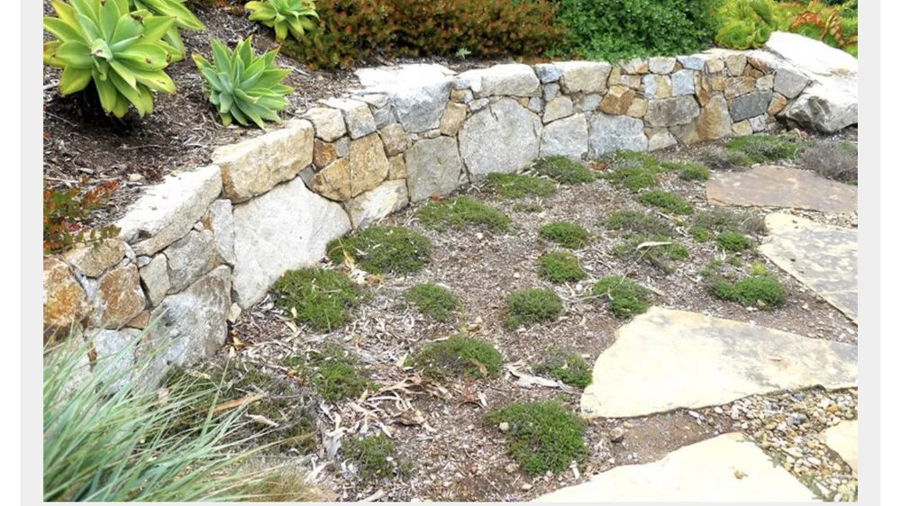 Professional yard cleanup service in Altadena, CA - Aguilar Tree Service and Landcape Design