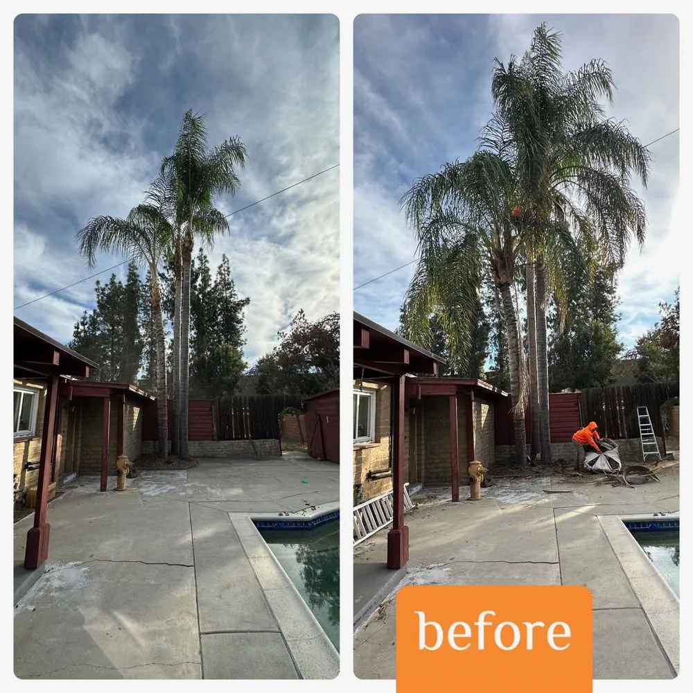 Local landscape design in Santa Clarita, CA - Aguilar Tree Trimming