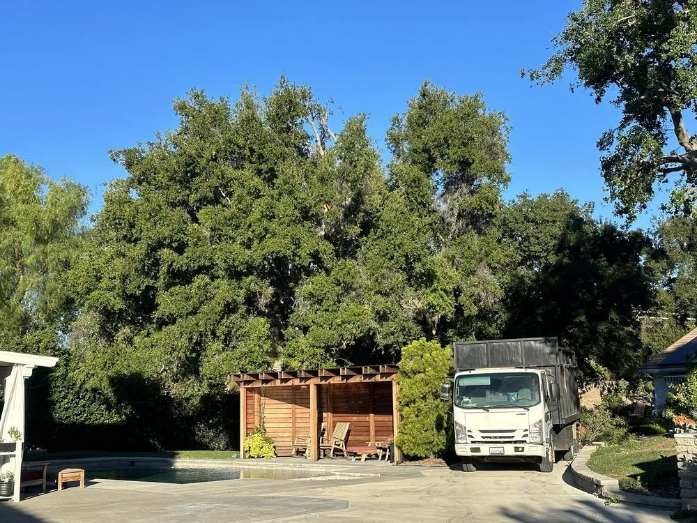 Professional landscaping services in Santa Clarita, CA by Aguilar Tree Trimming