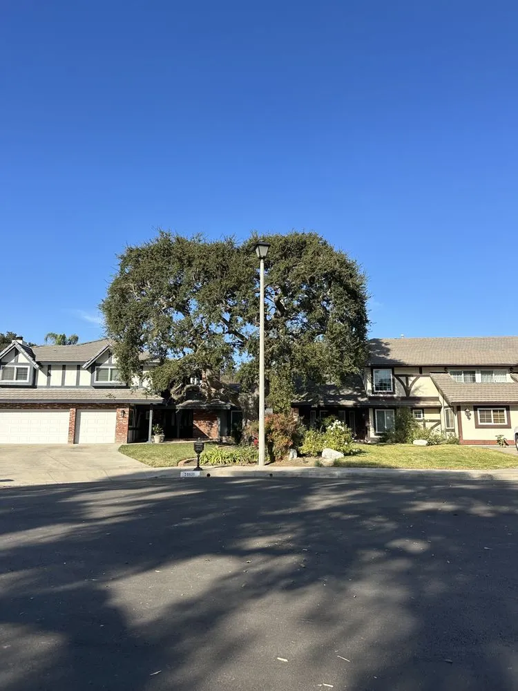 Expert garden landscaping with custom design across Santa Clarita, CA - Aguilar Tree Trimming