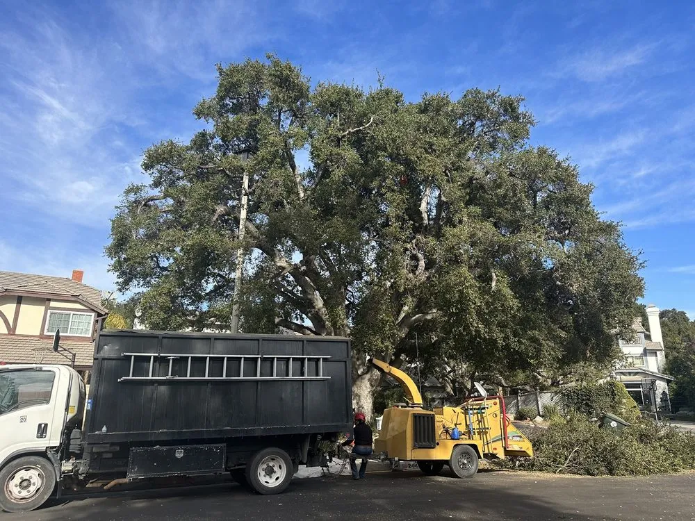 Professional lawn mowing service for outdoor upgrades across Santa Clarita, CA - Aguilar Tree Trimming