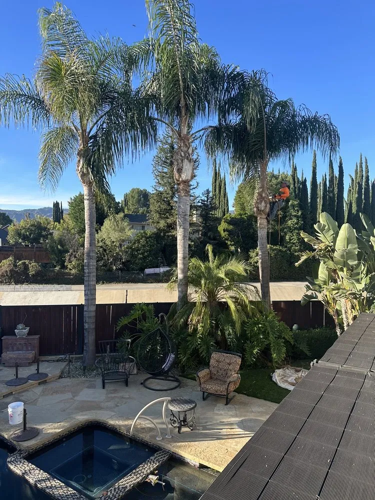 Trusted outdoor landscaping for year-round maintenance in Santa Clarita, CA by Aguilar Tree Trimming