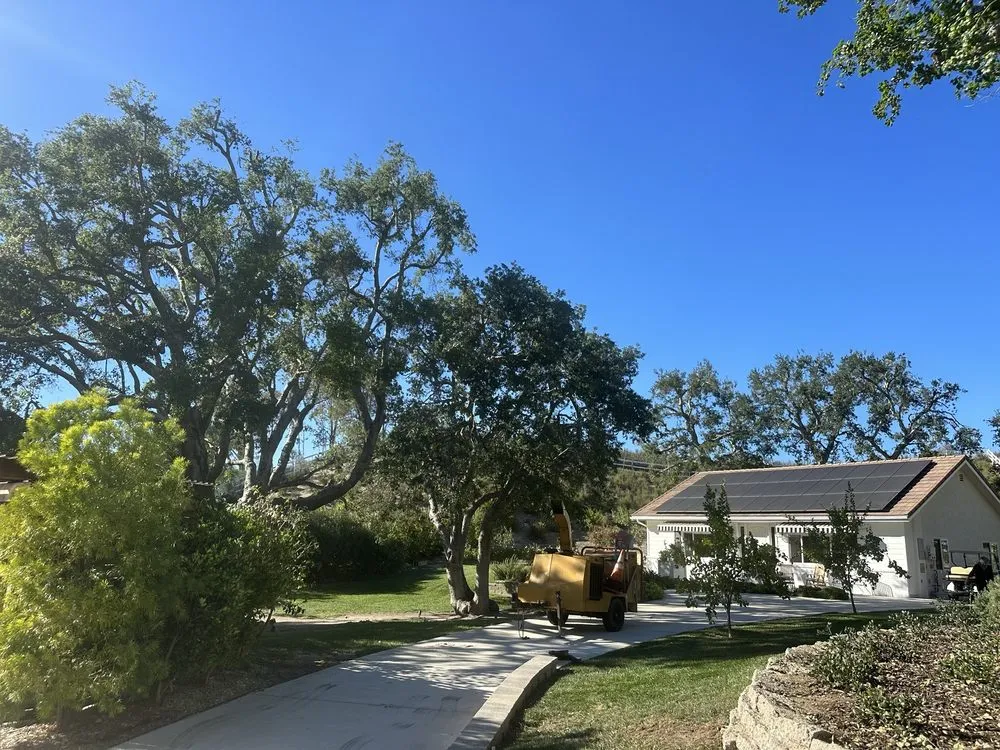 Top-rated outdoor landscaping in Santa Clarita, CA - Aguilar Tree Trimming
