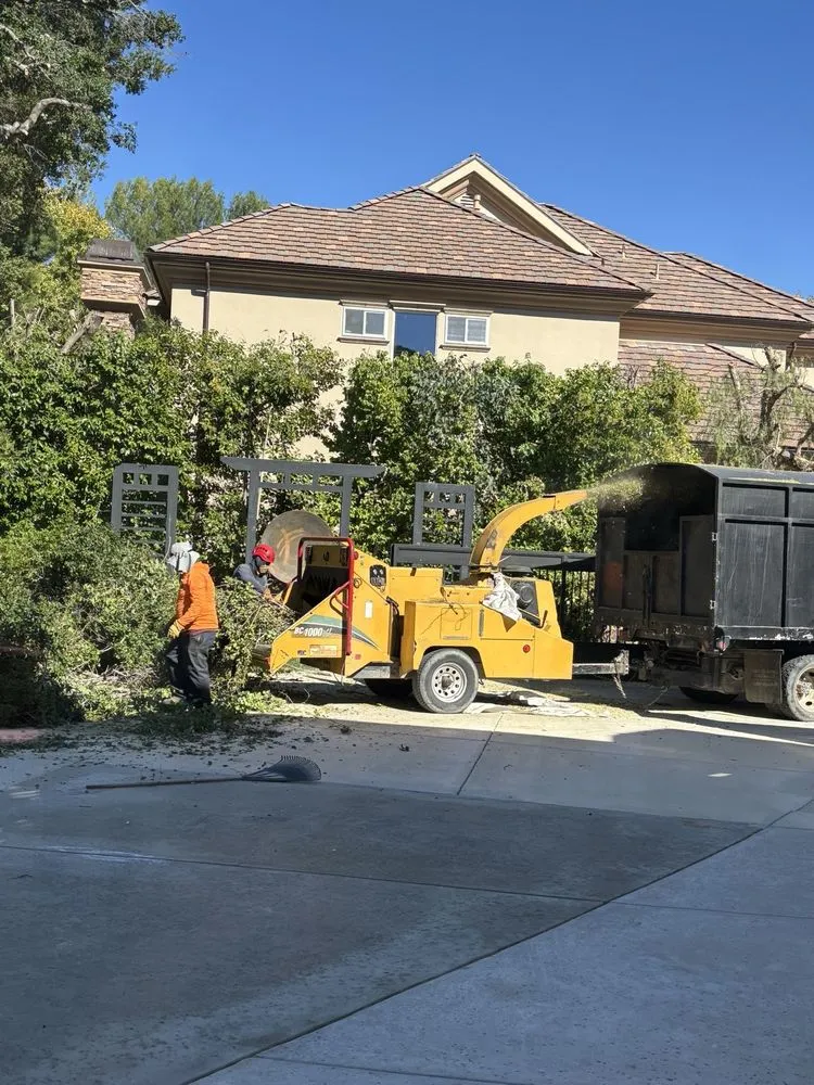 Top-rated yard maintenance with custom design in Santa Clarita, CA by Aguilar Tree Trimming