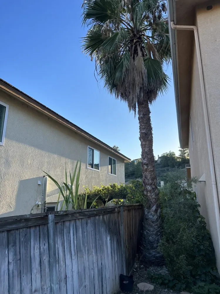 Top-rated lawn mowing service near you across Santa Clarita, CA - Aguilar Tree Trimming