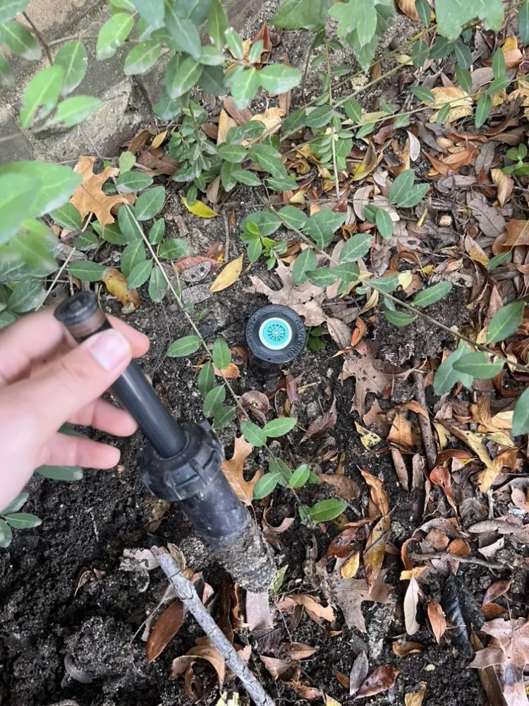 Expert landscape installation for homes in Garland, TX by Aguilars Landscaping