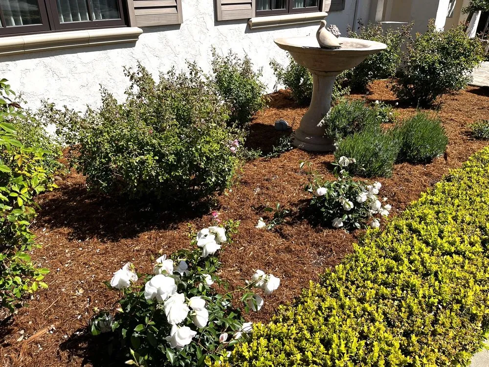 Reliable outdoor landscaping in Monterey, CA - Aguilar's Landscaping
