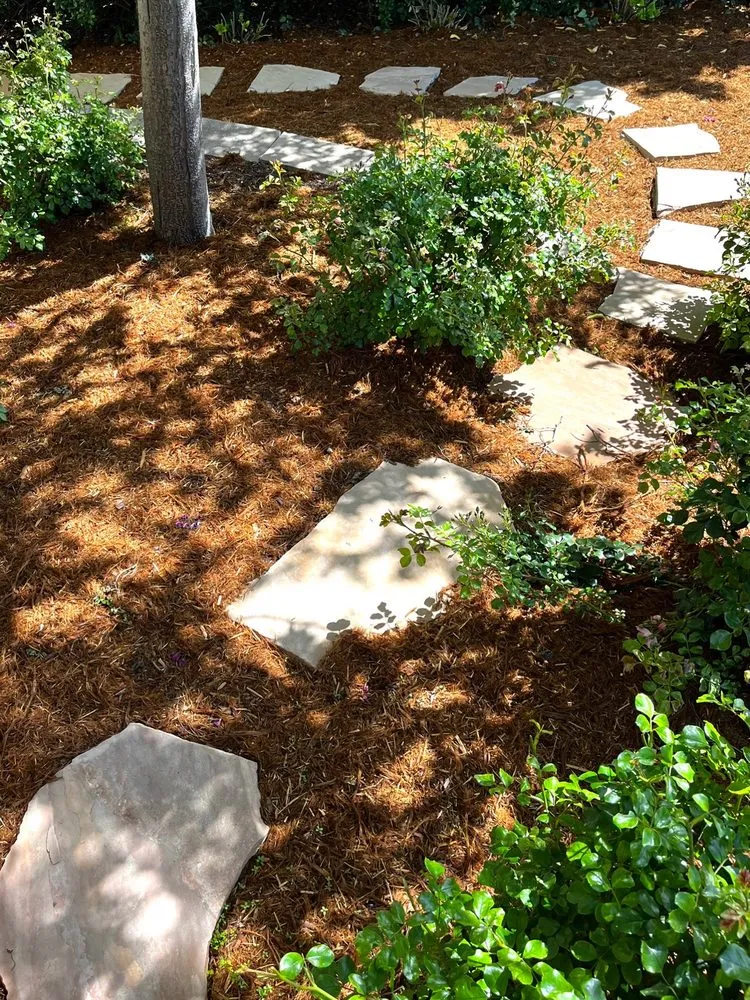 Expert yard maintenance in Monterey, CA - Aguilar's Landscaping