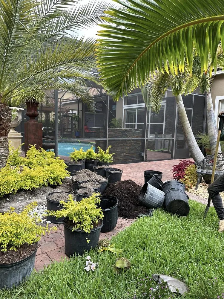 Trusted yard cleanup service for beautiful yards across Ocoee, FL - Aguilar's Landscaping