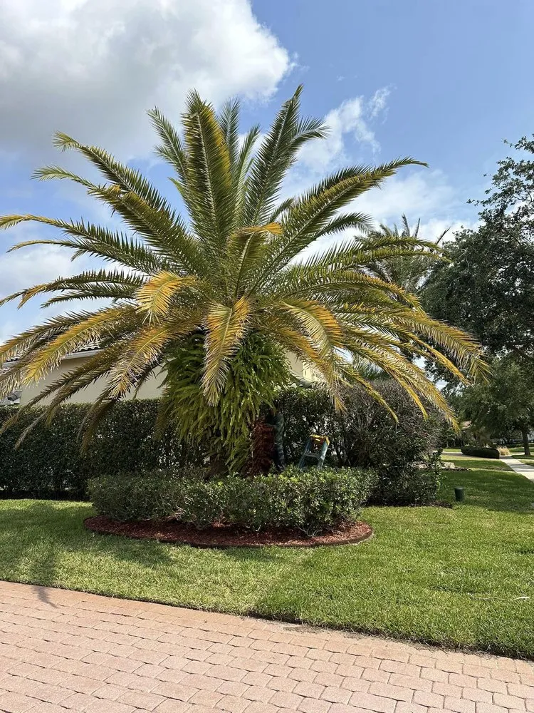 Professional residential landscaping in Ocoee, FL by Aguilar's Landscaping