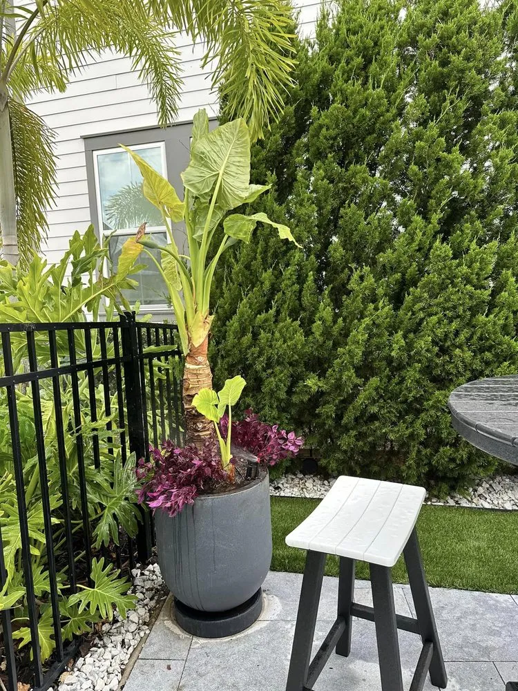 Affordable yard maintenance in Ocoee, FL - Aguilar's Landscaping