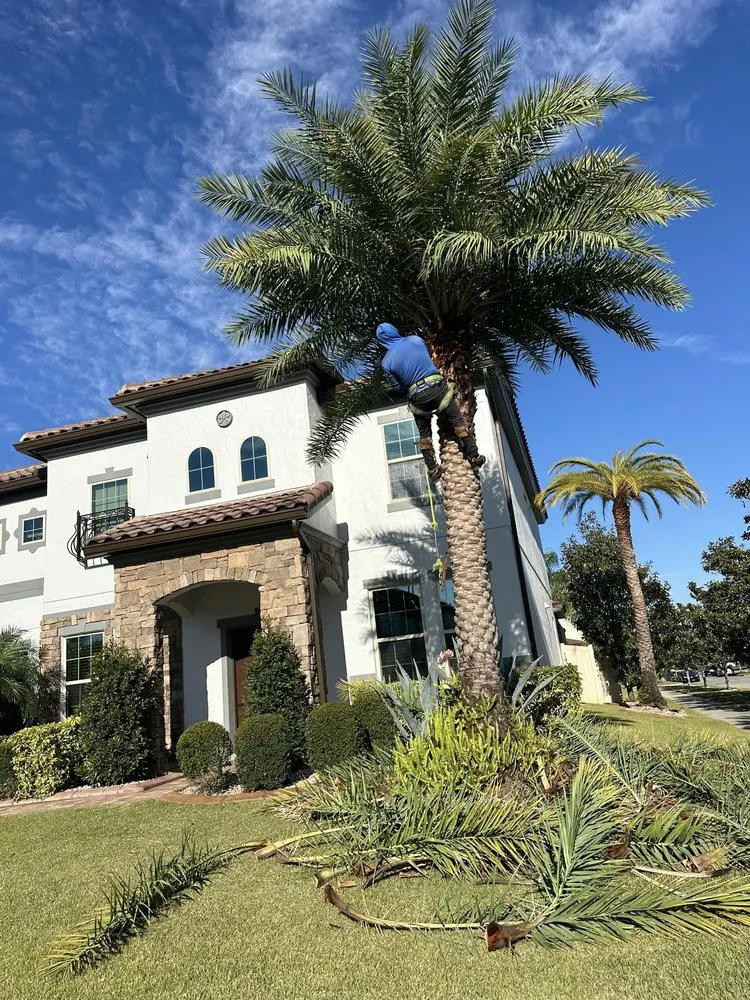 Custom residential landscaping for residential properties across Ocoee, FL - Aguilar's Landscaping