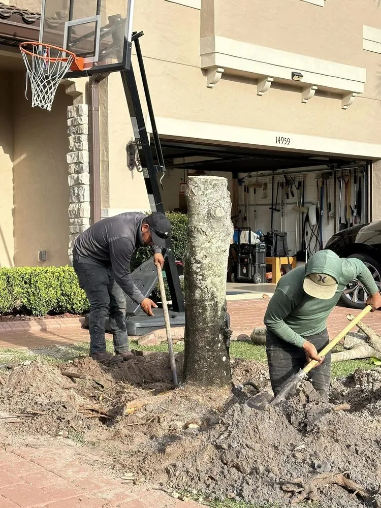 Trusted lawn care service experts serving Ocoee, FL - Aguilar's Landscaping