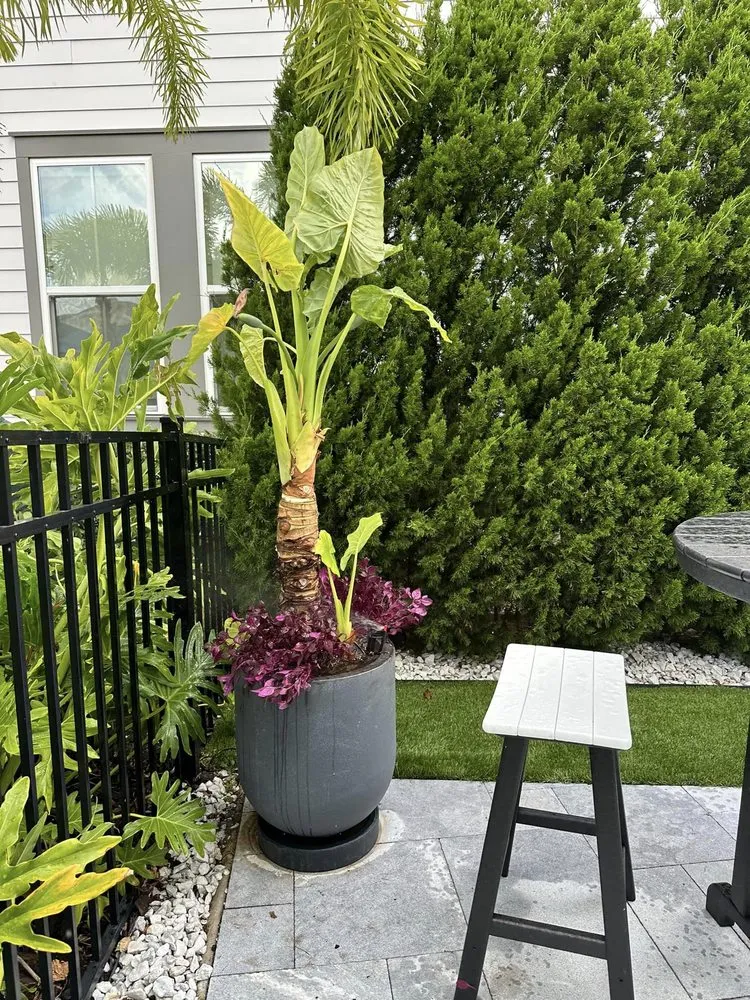 Reliable outdoor landscaping for residential properties in Ocoee, FL by Aguilar's Landscaping