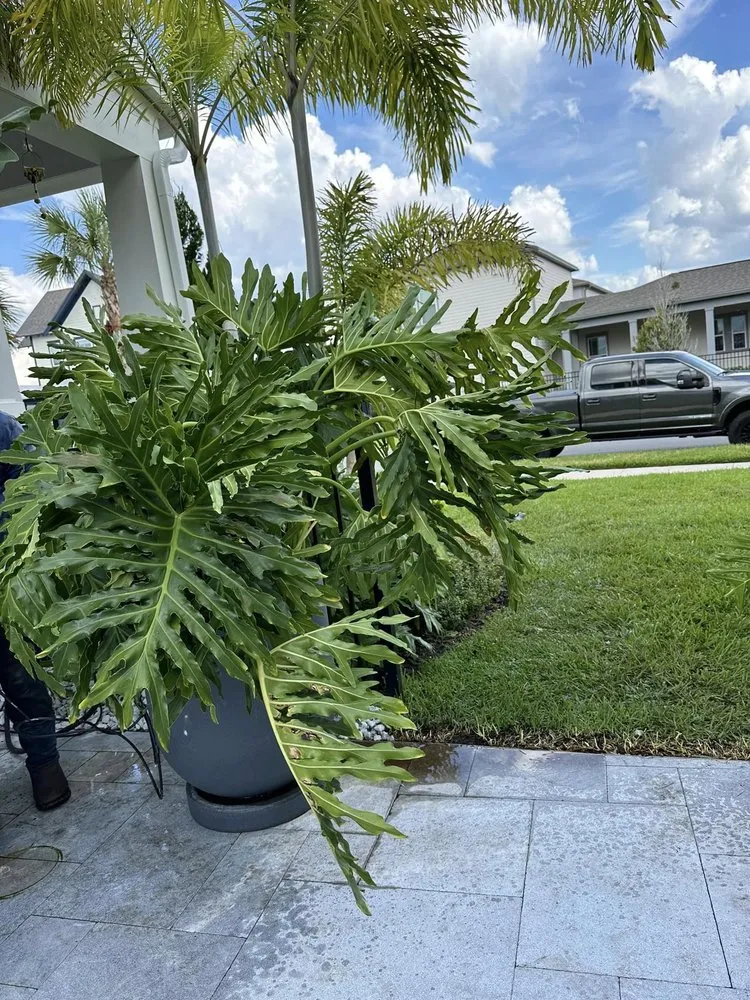 Custom residential landscaping experts serving Ocoee, FL - Aguilar's Landscaping