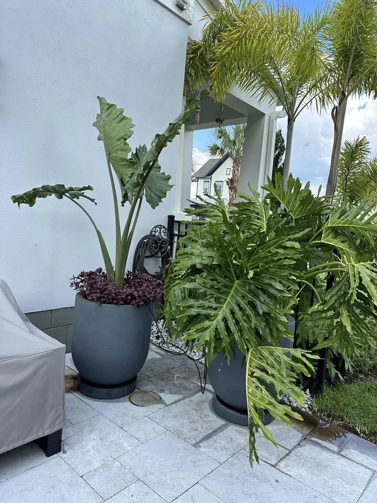 Local yard cleanup service in Ocoee, FL by Aguilar's Landscaping