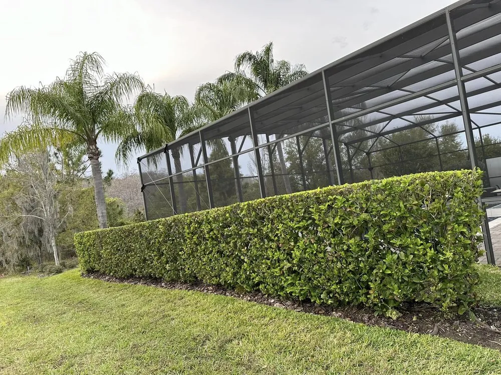 Trusted garden landscaping for outdoor upgrades across Ocoee, FL - Aguilar's Landscaping