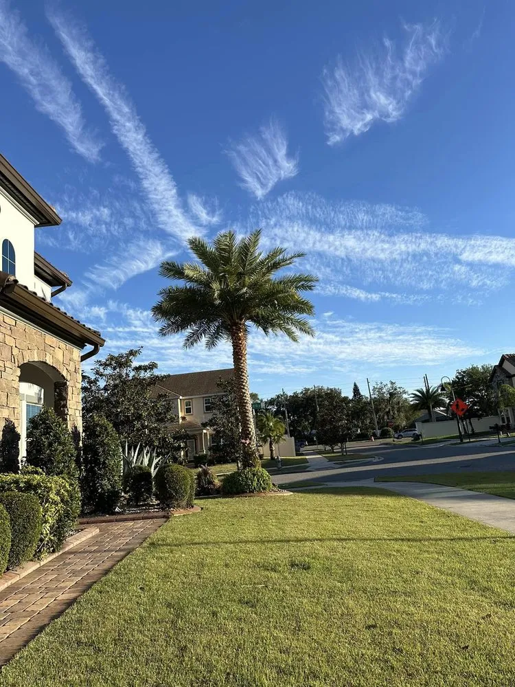 Affordable landscaping services with custom design in Ocoee, FL by Aguilar's Landscaping