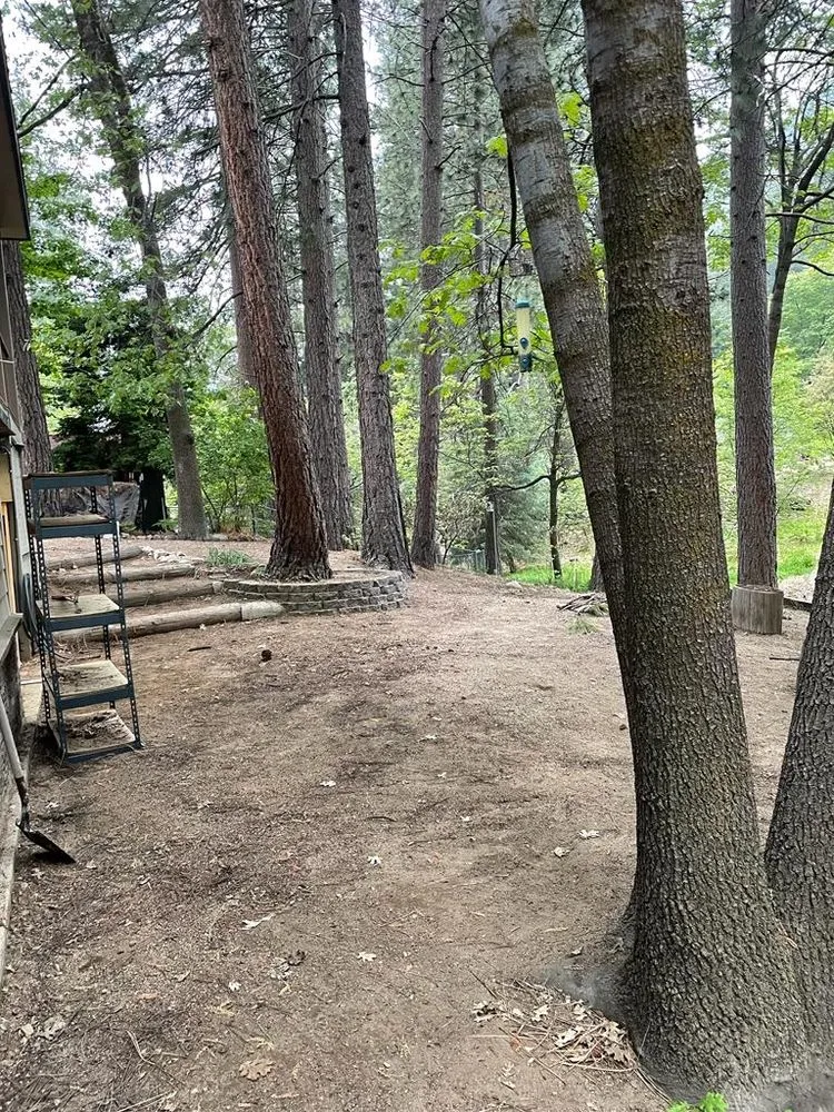 Professional lawn mowing service near you across Big Bear, CA - Aguilar’s Landscaping Services