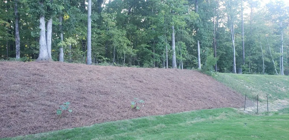 Local yard cleanup service in Durham, NC by Aguilar's Lawn & Landscape