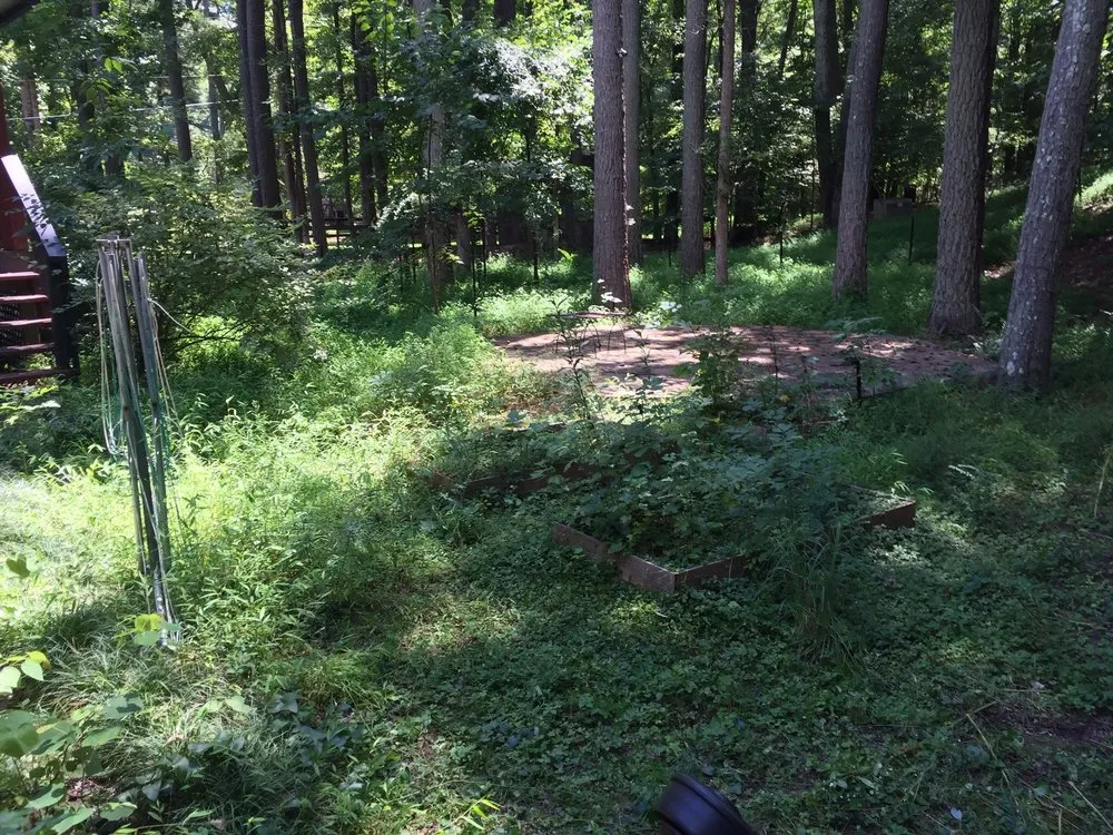 Custom lawn mowing service in Durham, NC by Aguilar's Lawn & Landscape