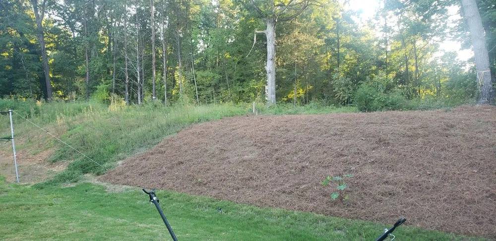 Professional landscape design in Durham, NC - Aguilar's Lawn & Landscape