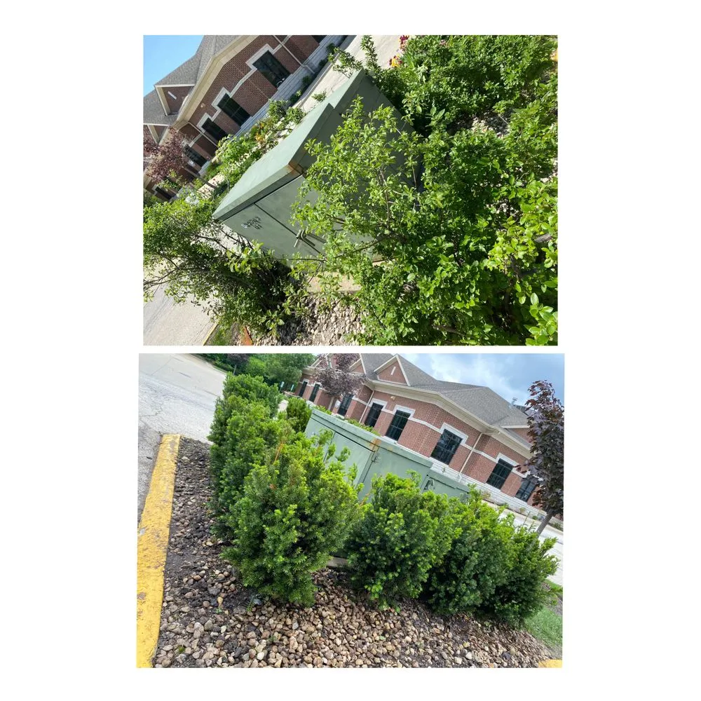 Top-rated lawn mowing service in Round Lake, IL - Aguilera and Sons Landscaping