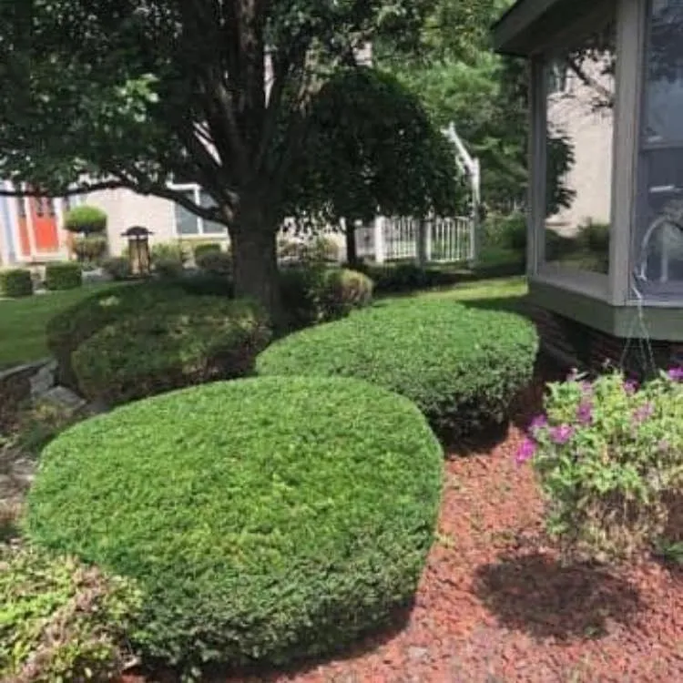 Reliable landscape design in Blue Island, IL by Aguilera Friends Landscaping