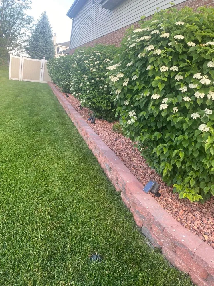 Custom yard maintenance experts serving Blue Island, IL - Aguilera Friends Landscaping