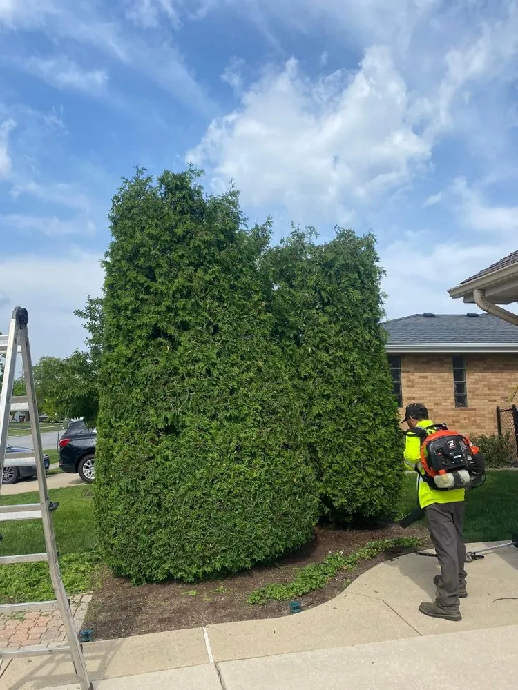 Top-rated lawn mowing service in Blue Island, IL - Aguilera Friends Landscaping