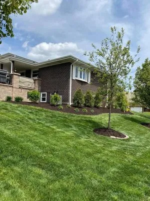 Aguilera Friends Landscaping