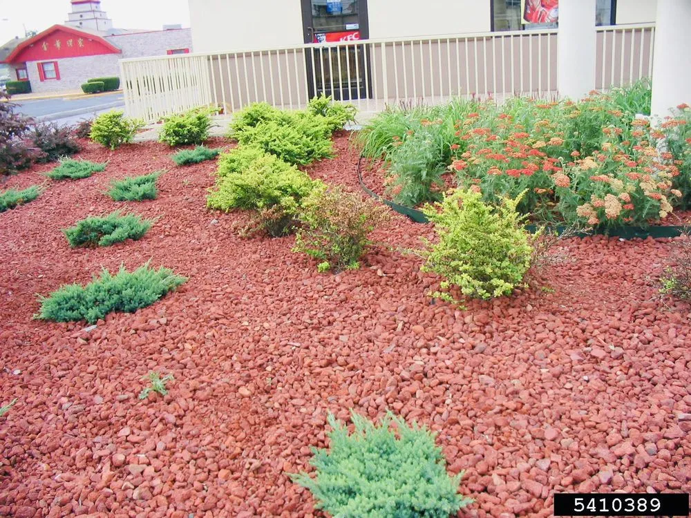 Trusted lawn mowing service in Cumming, GA - Aguilera Landscaping