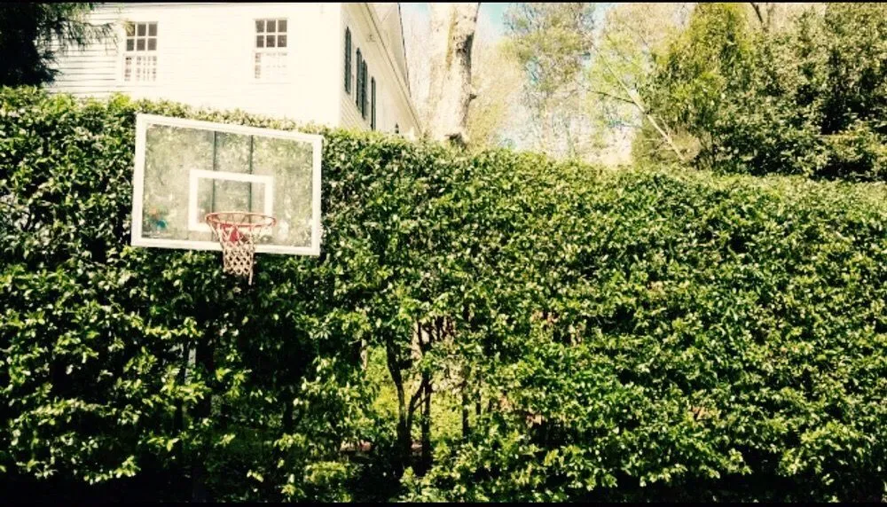 Reliable residential landscaping in Cumming, GA by Aguilera Landscaping