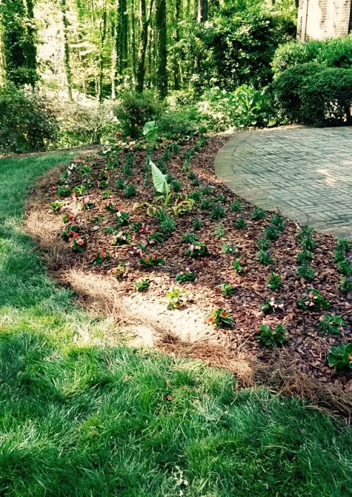 Professional landscape installation for residential properties across Cumming, GA - Aguilera Landscaping