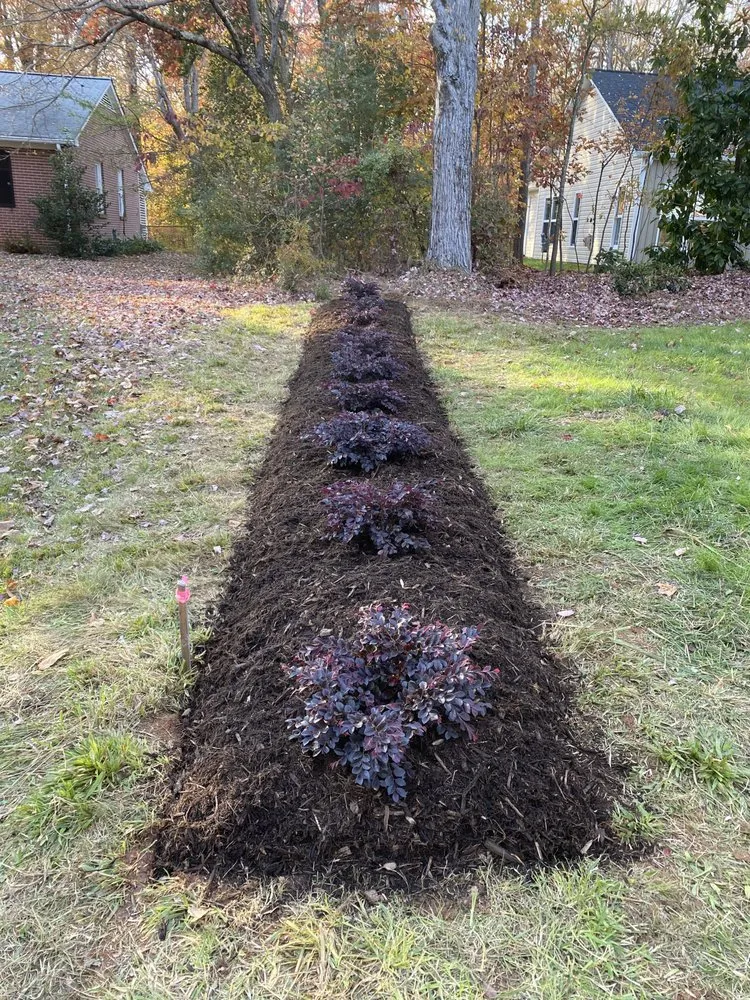 Top-rated landscaping services for beautiful yards across Elkin, NC - Aguilera Lawn Service