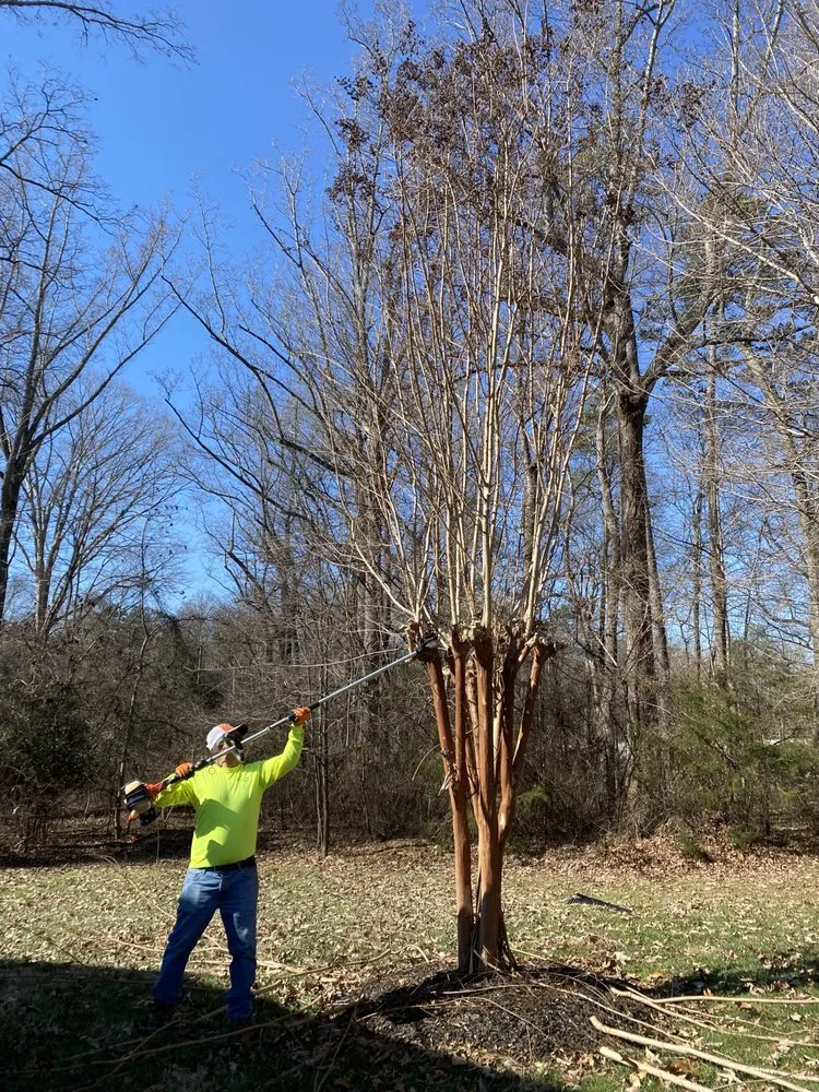 Local landscape installation for homes in Elkin, NC by Aguilera Lawn Service