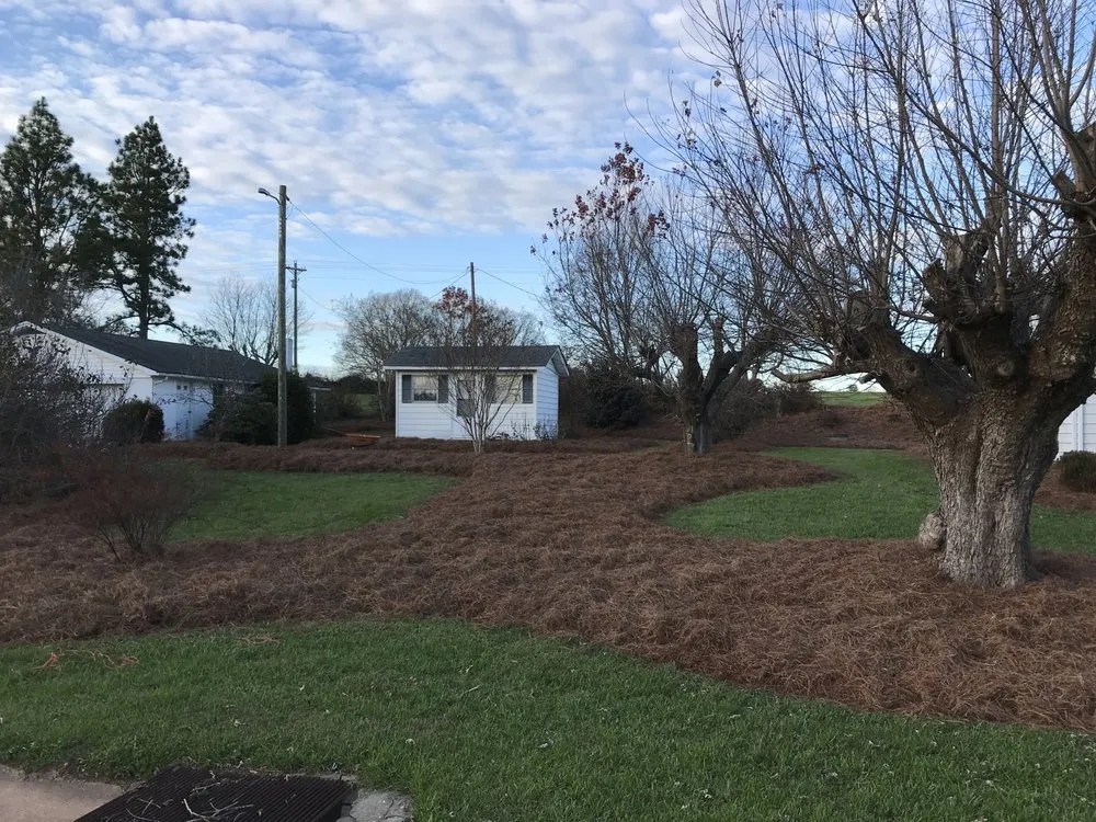 Affordable outdoor landscaping in Elkin, NC by Aguilera Lawn Service