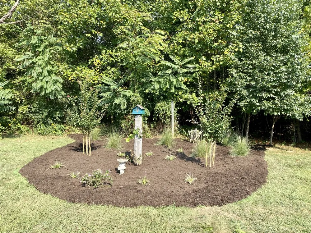 Trusted landscaping services near you across Elkin, NC - Aguilera Lawn Service